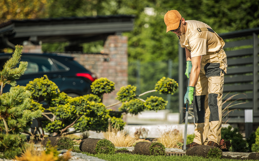 Professional Landscaping Maintenance Plans